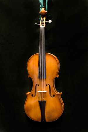 Violin after N. Amati