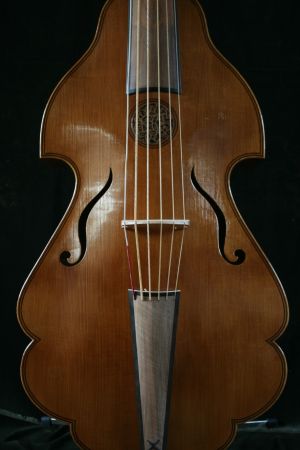 violone in G