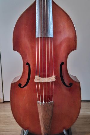 bas viola da gamba