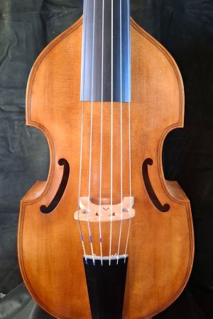 tenor viol